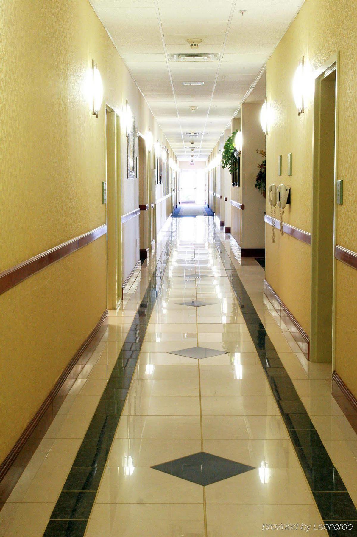 Hampton Inn & Suites רוזוול מראה פנימי תמונה